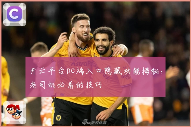 开云平台pc端入口隐藏功能揭秘，老司机必看的技巧
