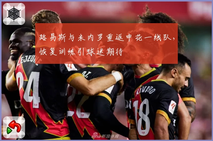 路易斯与米内罗重返申花一线队,恢复训练引球迷期待
